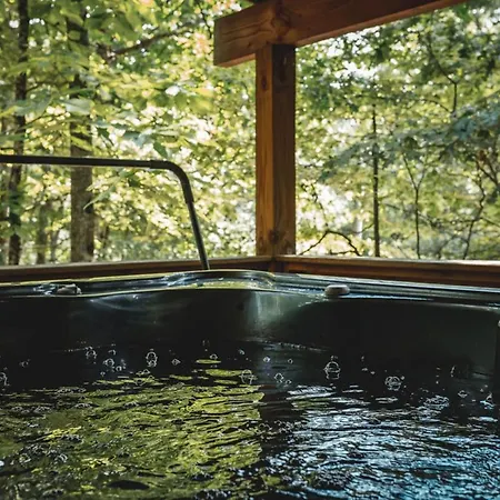 Blueberry Hideaway At 36 North Cabin - Hot Tub Purlear Exterior foto